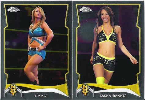 Ending on a sexier note, with two very talented NXT gals on very different trajectories..